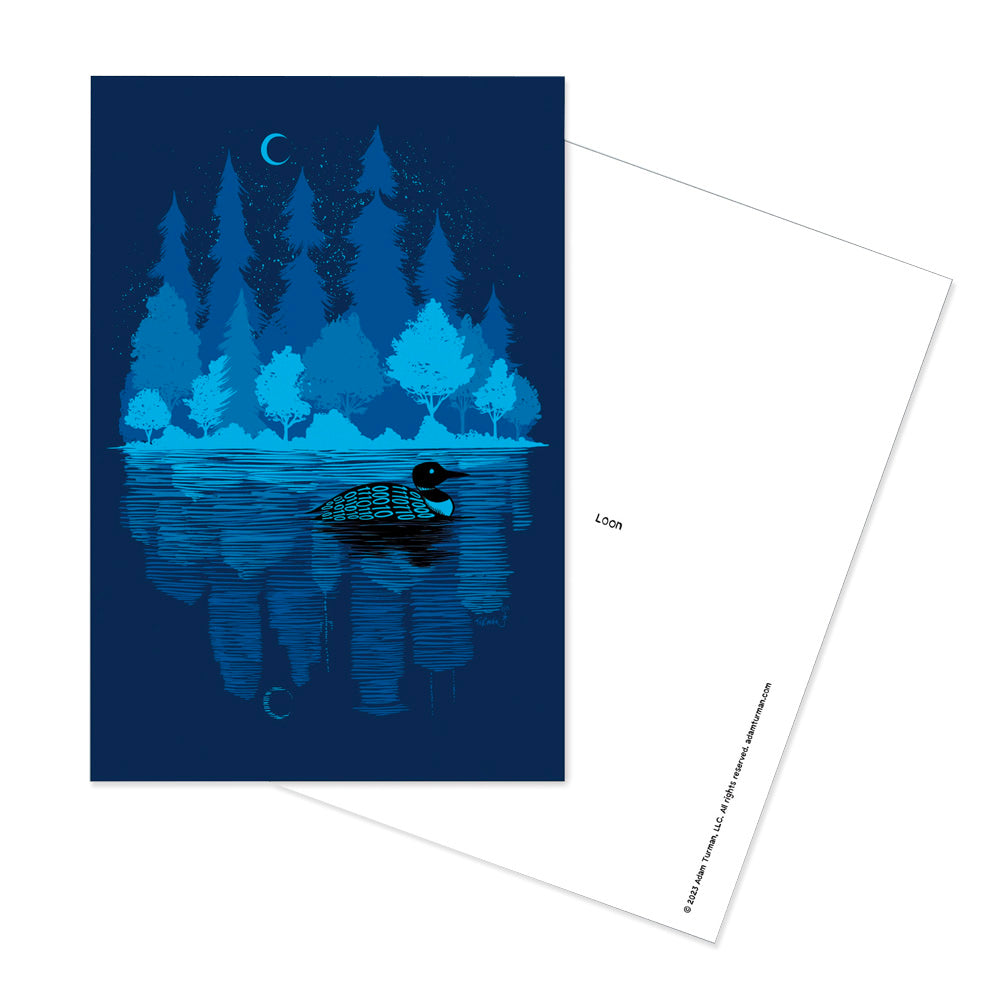 Midnight Loon Postcard