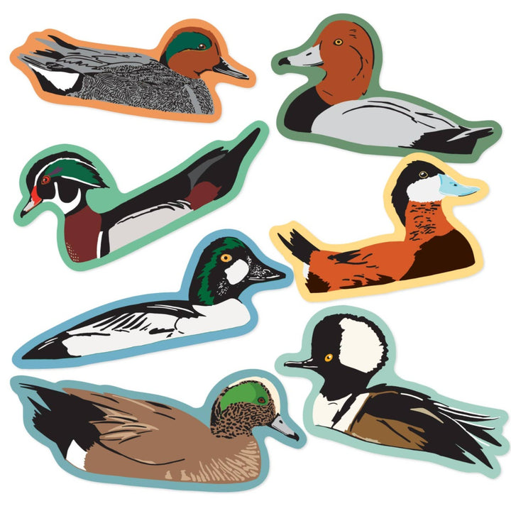 Duck sticker