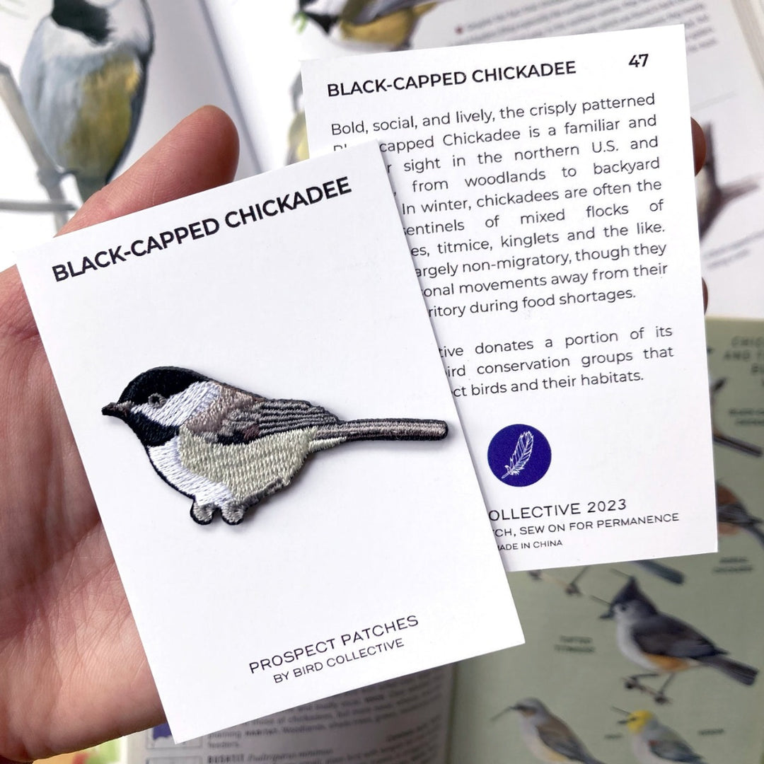 Black-Capped Chickadee Patch