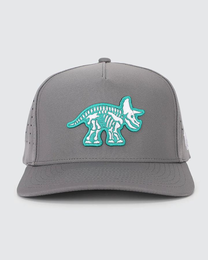 Triceraputts Hat