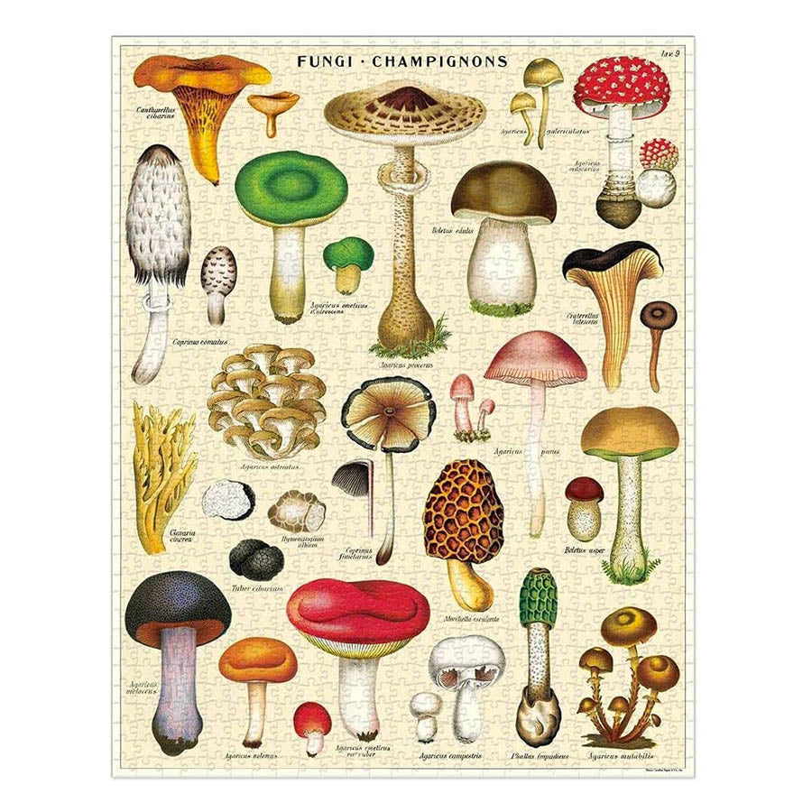Mushrooms Chart Puzzle